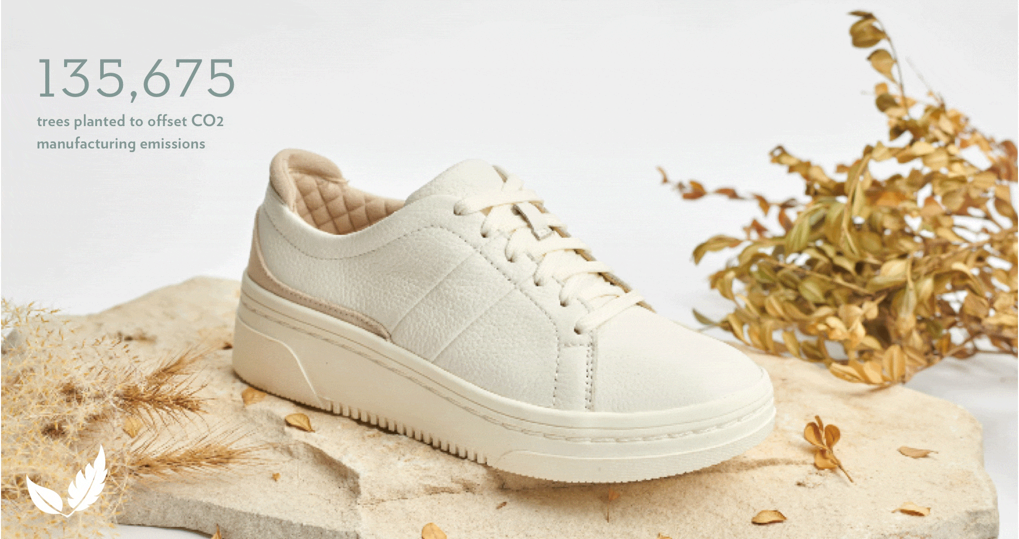 soulier dr scholl