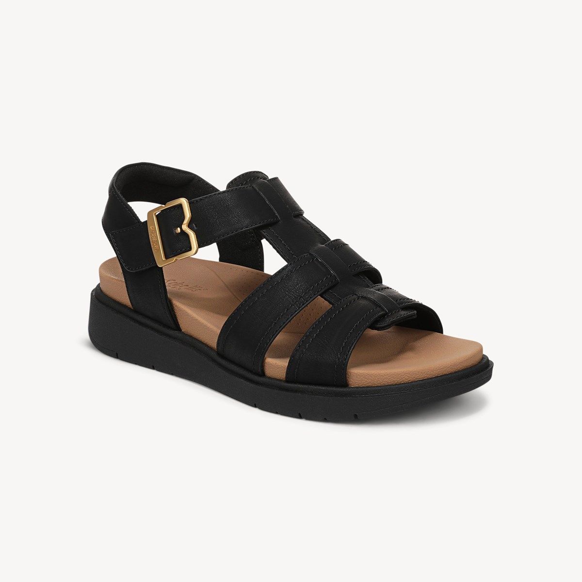 Dr. Scholl