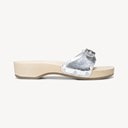 Silver Leather