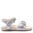 Silver Glitter